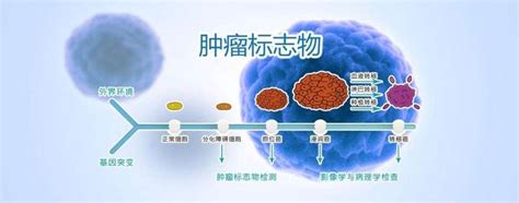 关于肿瘤标志物筛查，您了解多少？【云南省老干部医院体检中心】 知乎