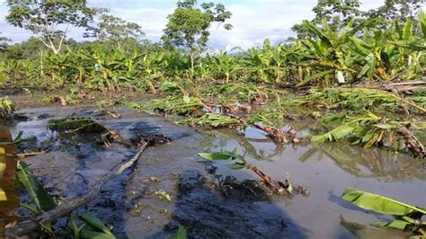 ¿cuáles Son Los Retos De La Agricultura Colombiana Frente Al Cambio