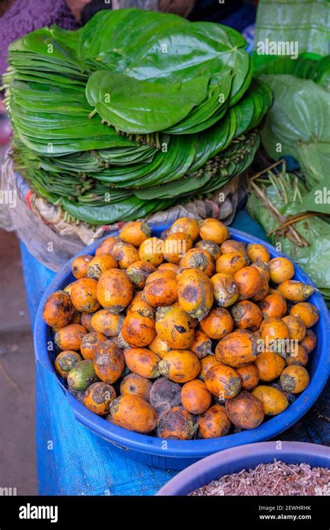 Areca Nut And Betel Leaves In The Guwahati Market The Areca Nut Is The