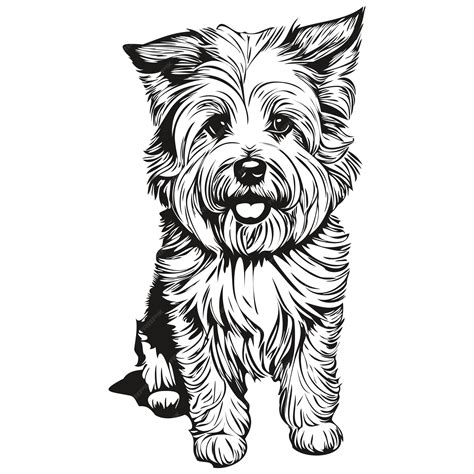 Premium Vector | Coton de tulear dog pet sketch illustration black and