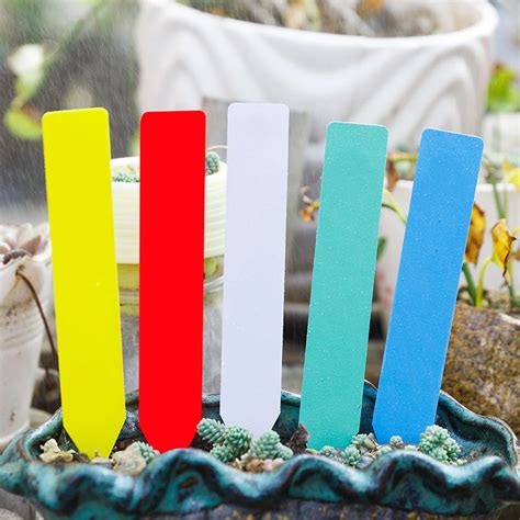 Tiquettes Pour Plantes De Jardin En Pvc Pi Ces Marqueurs Pour