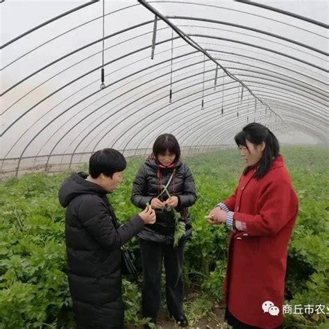 柘城县农业农村局积极做好雨雪冰冻灾害天气防范工作生产灾情抗灾