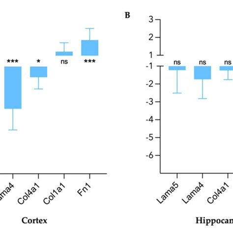 Sex Differences In Gene Expression Of Ecm Components In Healthy