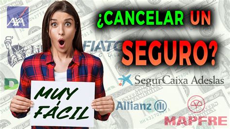 COMO CANCELAR UN SEGURO YouTube