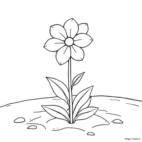 realistic flower coloring pages