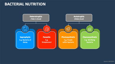 Bacterial Nutrition Powerpoint Presentation Slides Ppt Template