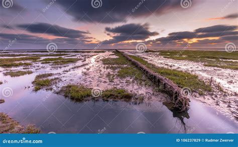 Wadden Sea Salt Marsh at Sunset Stock Image - Image of horizon, land ...