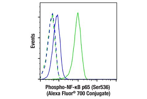 Phospho NF κB p65 Ser536 93H1 Rabbit mAb Alexa Fluor 700