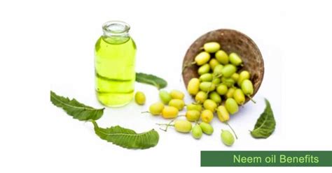 Neem Oil Medicinal Benefits