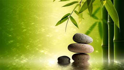 Download Find Peace And Tranquility With Zen