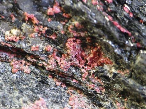 Erythrite Mineral Specimen For Sale