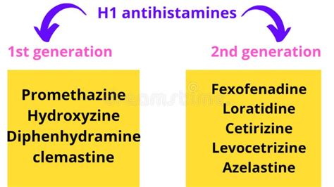 H1 Antihistamine Drug Classification Stock Illustration - Illustration ...