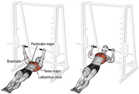 Maximize Back Strength: Effective Horizontal Row Workout – Fitness Volt