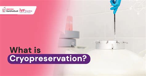 What Is Cryopreservation