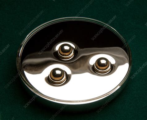 Ball Bearings Floating On Mercury Stock Image C0017541 Science