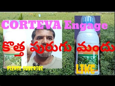 CORTEVA Engage కతత పరగ మద YouTube