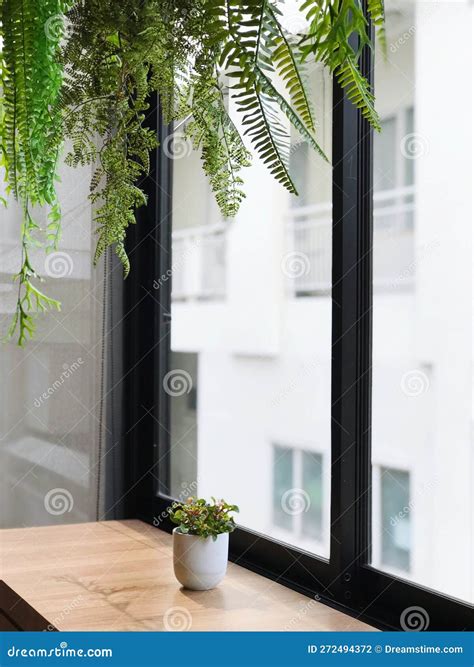 The Atmosphere Of A Coffee Shop Or A Minimalist Cafe Stock Photo