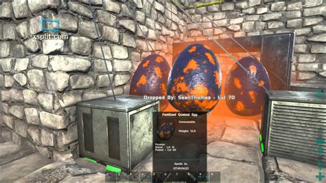 Ark Survival Evolved How To Incubate Quetzal Eggs Youtube