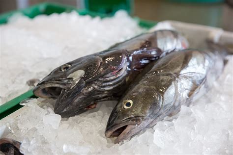 Sablefish Black Cod What To Know When Where To Get It — Monterey