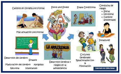 Top Imagen Mapa Mental De Cambios En La Adolescencia Viaterra Mx