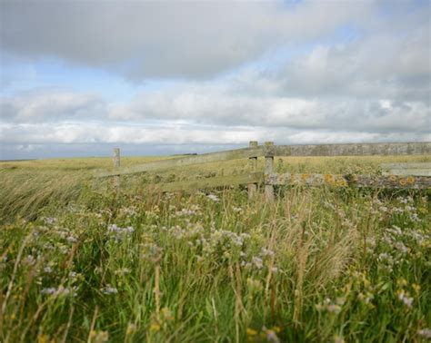 page  wierdense veld images    freepik