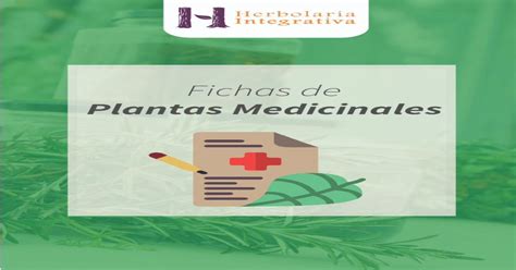 Fichas De Plantas Medicinales Asami Pdf Document