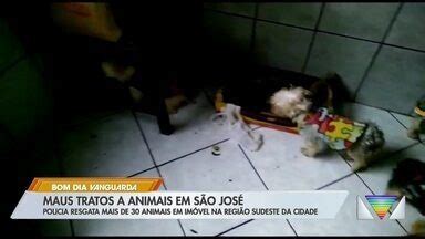 Bom Dia Vanguarda Maus tratos a animais em São José dos Campos