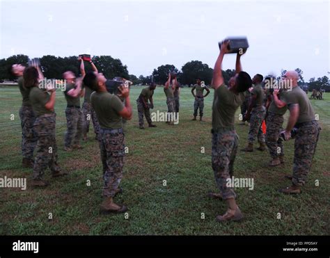 Marine Corps Logistics Command Marines Participate In A Circuit Course