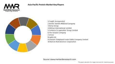 Asia Pacific Protein Market 2024 2032 Size Share Growth