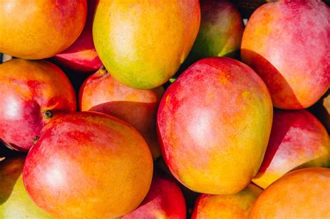 Vai Uma Manga A Saiba Quais Os Benef Cios Dessa Fruta Deliciosa