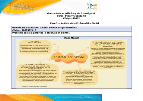 Anexo 2 Fase 3 Análisis de la problemática social Vicerrectoría