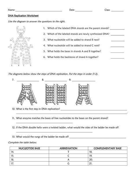 Dna Worksheet Answer