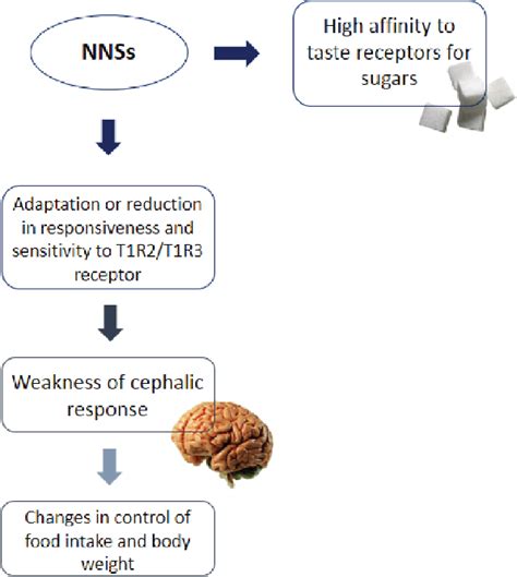 Non Nutritive Sweeteners And Their Contradictory Effect On The Control