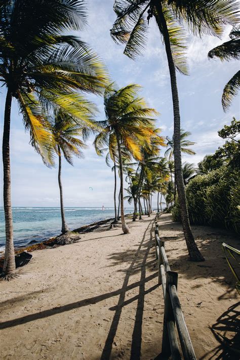 10 Lieux Incontournables Pour Un Roadtrip En Guadeloupe Artofit