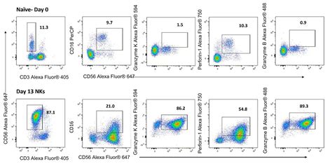 Flow Cytometry Panel Flow Cytometry Kits