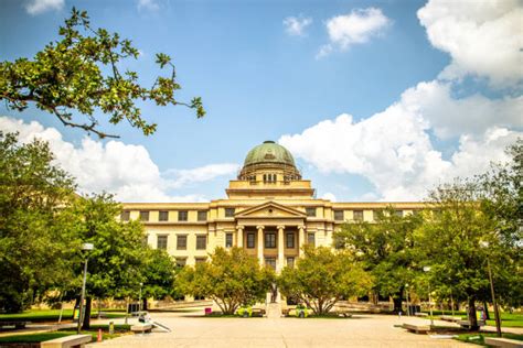 80+ Texas A M University Stock Photos, Pictures & Royalty-Free Images ...