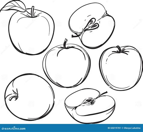 Apple Line Drawing Of Apples On A White Background One Color Vector