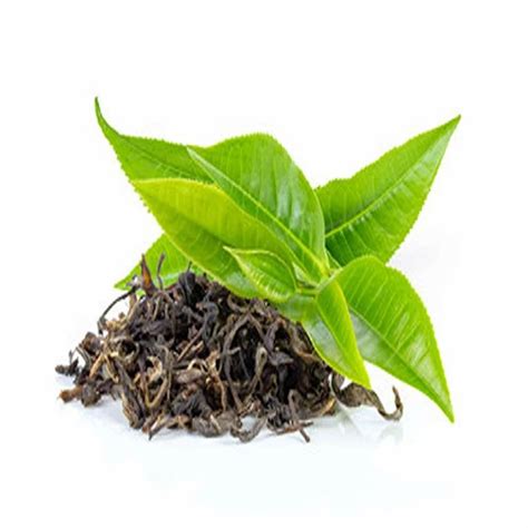 Cardamom Organic Asam Green Tea Leaves Assam At Rs 500kg In Sitamarhi Id 2849610642933