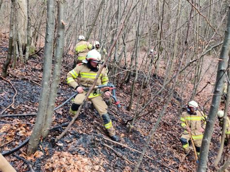 Brandeinsatz Flurbrand Feuerwehr Hallwang