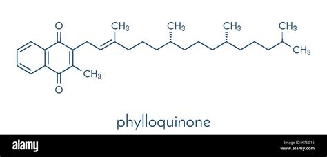 Vitamin K K1 Phylloquinone Phytomenadione Molecule Skeletal