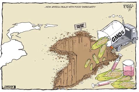 How Africa Deals With Food Insecurity Today S Cartoon On Gmos By