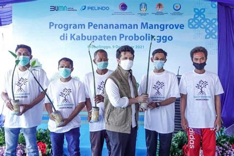 Dukung Rehabilitasi Mangrove Berskala Nasional Emil Dardak Target