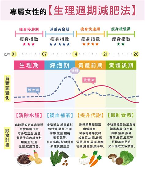 什麼是月經週期？掌握月經4大週期，瘦身、調理身體都能更有效率！