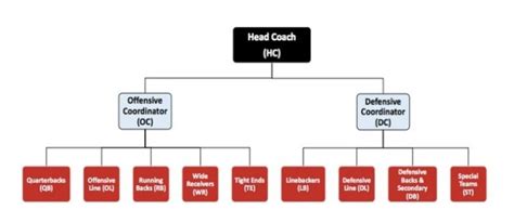 Chi tiết hơn 58 về MLB organizational chart cdgdbentre edu vn