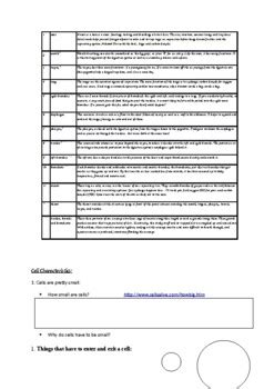 SBI4U BIO12 Unit 5 Respiratory System And Enzymes By Resources By Bono