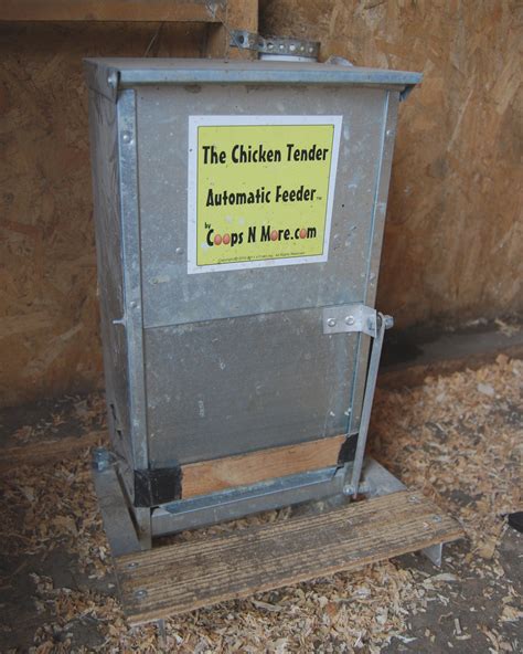 Info and Reviews on Treadle Chicken Feeders and other types of feeders