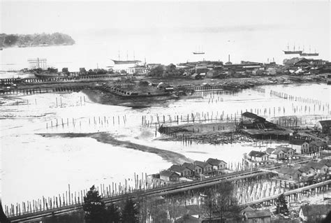 Brighter future for salmon at downtown seawall | Encyclopedia of Puget