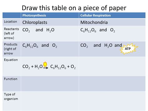 Cellular Respiration Equation Reactants And Products