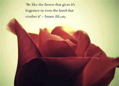 Imam Ali Quotes About Love Quotesgram