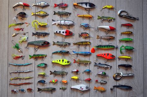 12 Ways to Organize Your Fishing Gear in Your Home